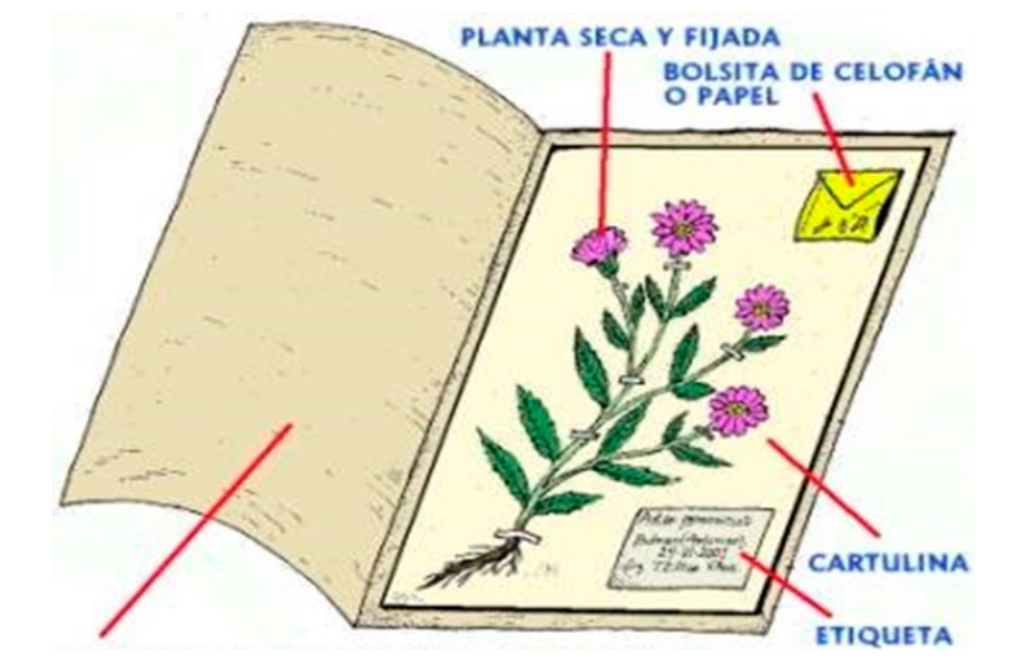 images description